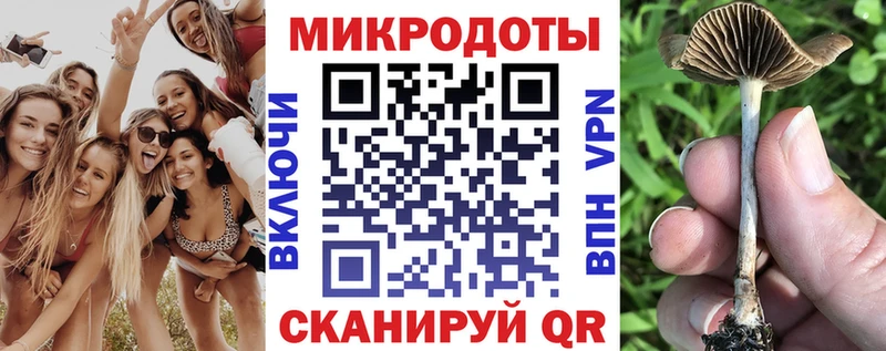 как найти   Нефтегорск  Псилоцибиновые грибы GOLDEN TEACHER 